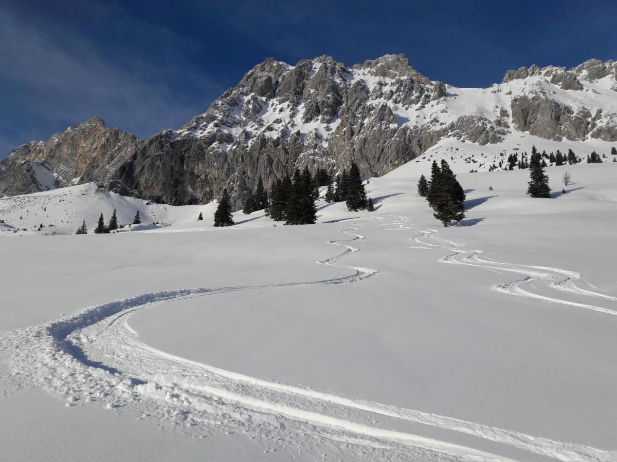 Appartement Gipfelblick- Tiroler Zugspitze Arena In Biberwier Eksteriør bilde