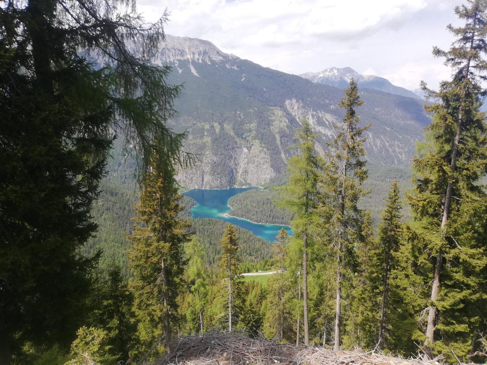 Appartement Gipfelblick- Tiroler Zugspitze Arena In Biberwier Eksteriør bilde