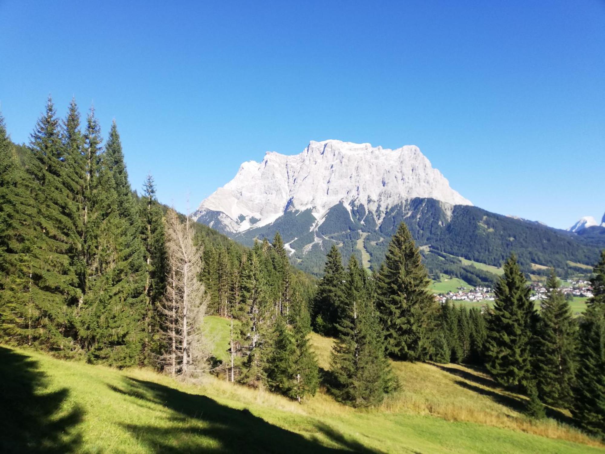 Appartement Gipfelblick- Tiroler Zugspitze Arena In Biberwier Eksteriør bilde