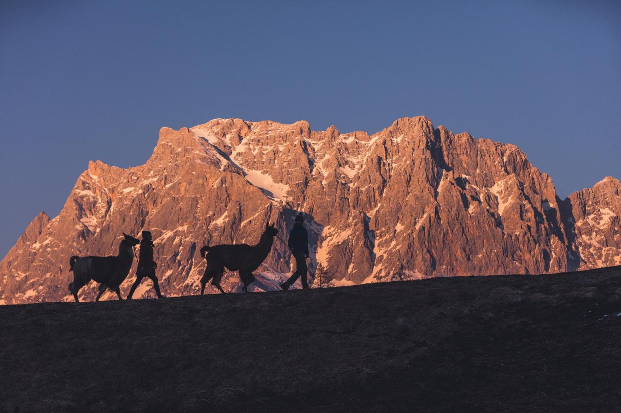 Appartement Gipfelblick- Tiroler Zugspitze Arena In Biberwier Eksteriør bilde